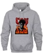top in flames hoodie sport grey